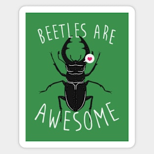 Beetles Are Awesome Magnet